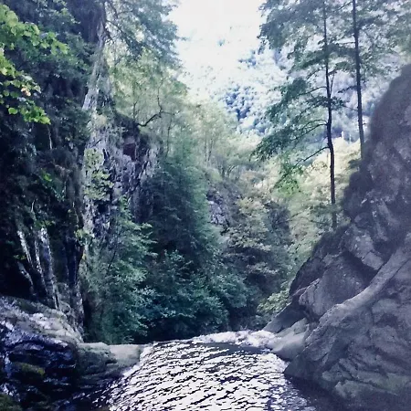 Rifugio Degli Scalatori ゲストハウス *